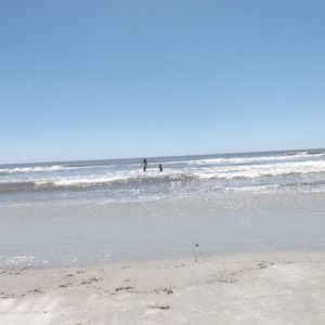 Meet your Posher, Annie